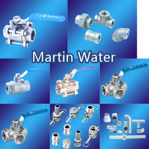 Ss Fittings, Pipes and Valves