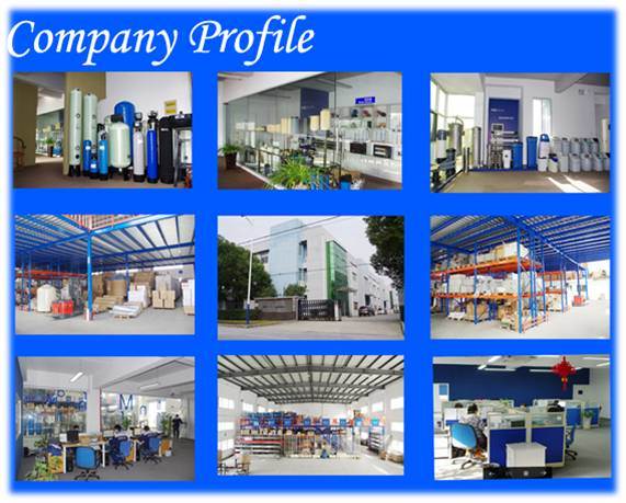 Mobile RO Water Treatment/RO System/ RO Equipment