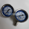 Mt Stainless Steel Side Mount and Panel Mount Pressure Gauge