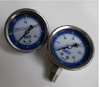 Differential Pressure Gauge with Different Coated Case
