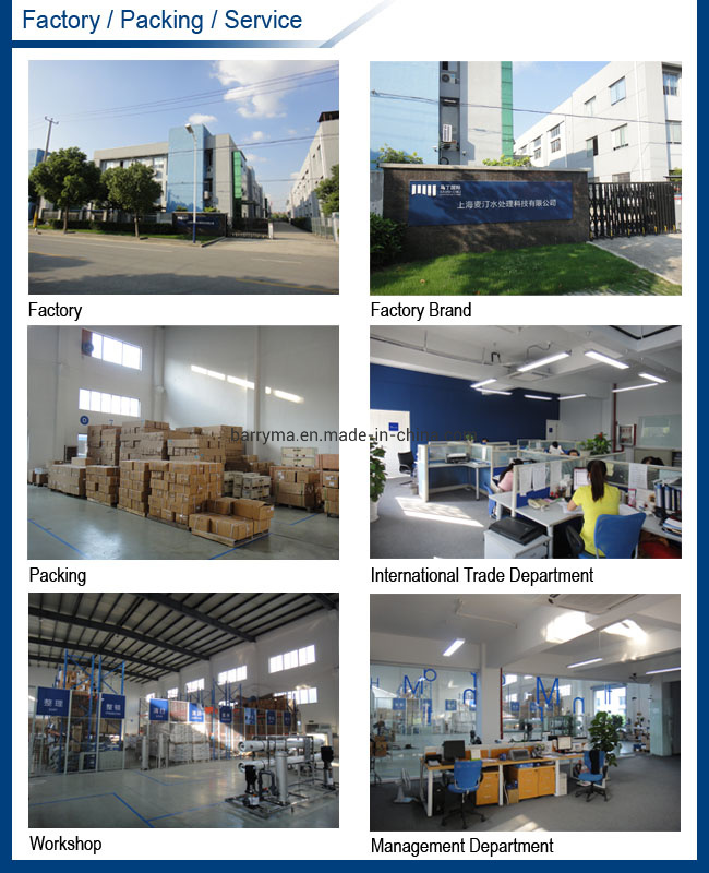 Martin Commercial RO System 800 Gpd Water Treatment