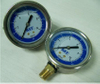 Differential Pressure Gauge with Different Coated Case