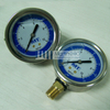 Mt Stainless Steel Side Mount and Panel Mount Pressure Gauge