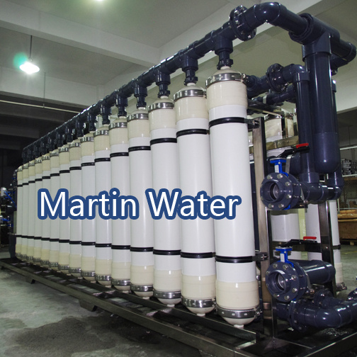 Manufacturer Supply 60tph Ultra Filtration System