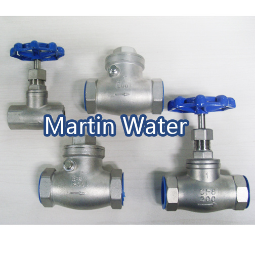 Ss Fittings, Pipes and Valves