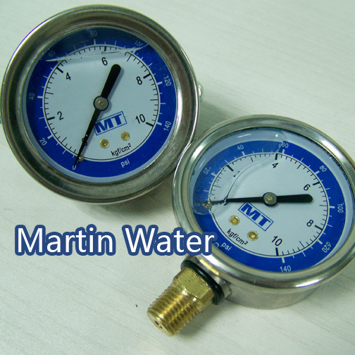 Wholesale Stainless Steel 304 Pressure Gauge